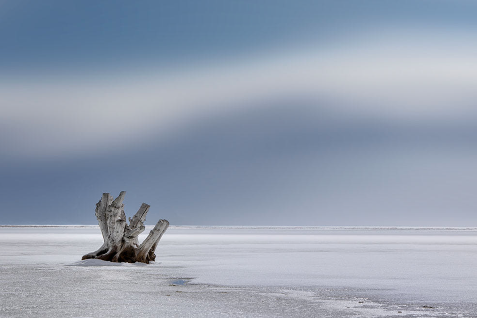 Nature Images by Greg Sargent